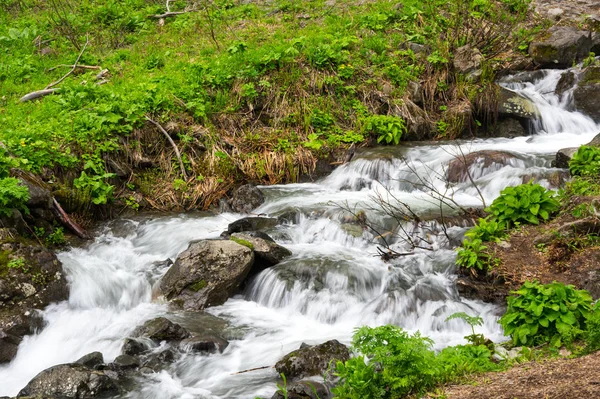 View of the brook in Caucasian mountains — Stock Photo, Image