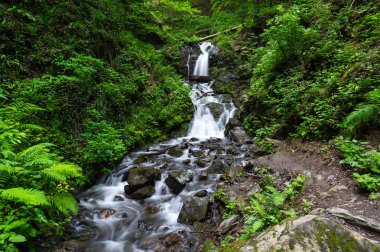 Kafkas Dağları'nda brook görünümünü