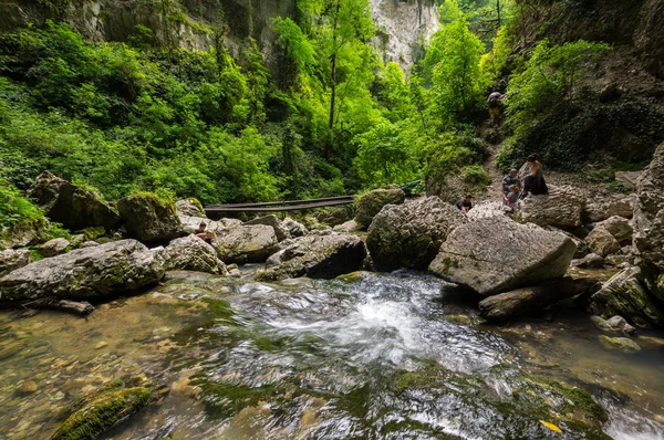 Nézd, a patak, a kaukázusi-hegység — Stock Fotó