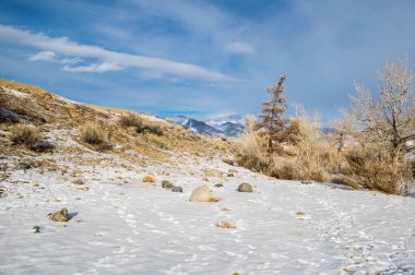Altay dağlarının kışın manzarası, Sibirya, Rusya