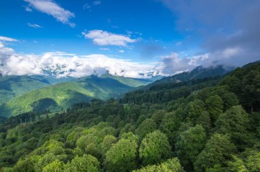 Kızıl Orman, Krasnodar Krai, Rusya 'daki Kafkas dağlarının manzarası