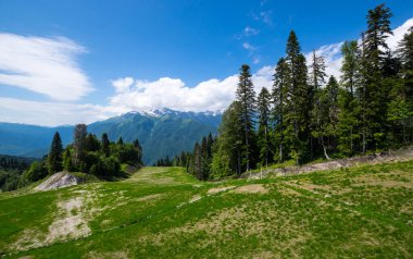 Kızıl Orman, Krasnodar Krai, Rusya 'daki Kafkas dağlarının manzarası