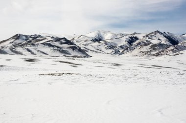 Altay dağlarının kışın manzarası, Sibirya, Rusya