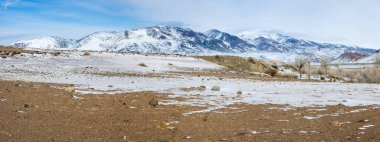 Altay dağlarının kışın manzarası, Sibirya, Rusya