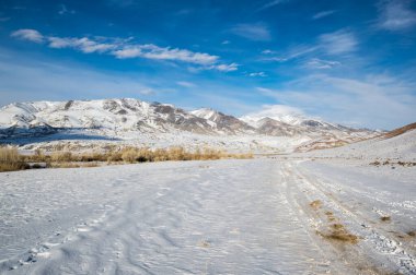 Altay dağlarının kışın manzarası, Sibirya, Rusya