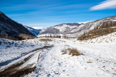 Altay dağlarının kışın manzarası, Sibirya, Rusya