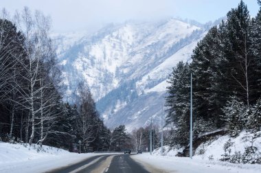 Altay dağlarının kışın manzarası, Sibirya, Rusya