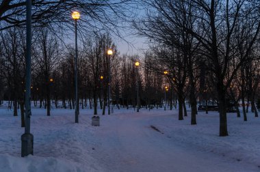 Saint-Petersburg parkı, Finlandiya Körfezi kıyısındaki Saint-Petersburg, Rusya