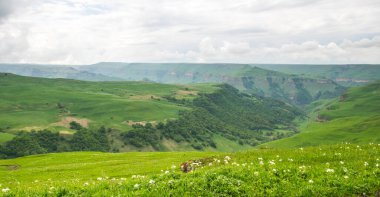 Rusya 'nın Karachay-Çerkesya Cumhuriyeti' ndeki Bermamyt Platosu 'nun panoramik manzarası