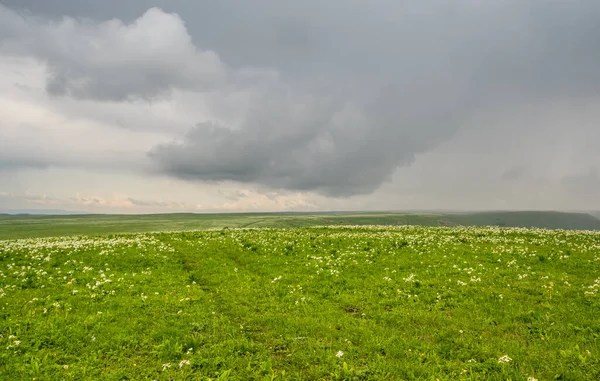 Vista Panorámica Meseta Bermamyt República Karachay Cherkessia Rusia — Foto de Stock