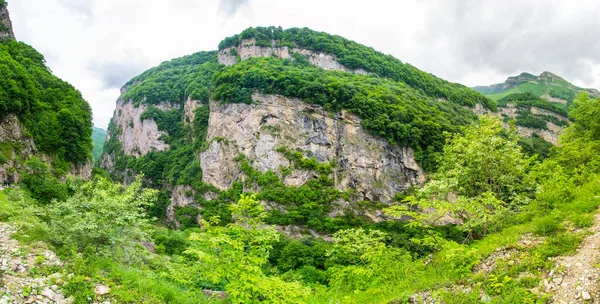 Вид Ущелину Черек Кавказькі Гори Кабардино Балкарії Росія — стокове фото