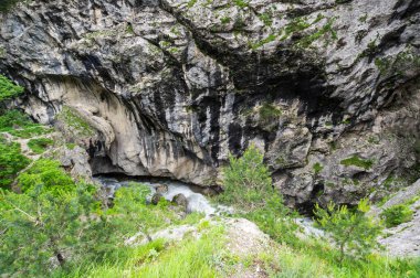 Kuzey Osetya-Alanya 'daki Kurtatin Vadisi, Rusya' nın Kuzey Kafkasya bölgesi.