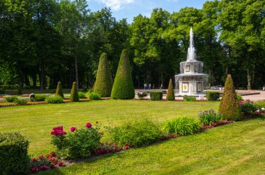 Saint-PETERSBURG, RUSSIA - 18 Haziran 2018: Peterhof, Saint Petersburg, Rusya 'daki Lower Park bahçesindeki Roma çeşmesi. Peterhof park topluluğu UNESCO 'nun dünya mirasına aittir.