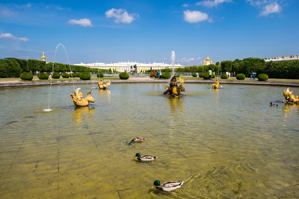 Saint Petersburg Rússia Junho 2018 Grande Palácio Peterhof Fonte Jardim — Fotografia de Stock