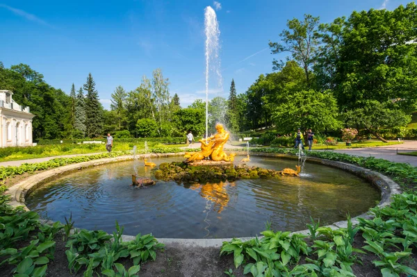 Saint Petersburg Rússia Junho 2018 Fonte Tritão Jardim Inferior Peterhof — Fotografia de Stock