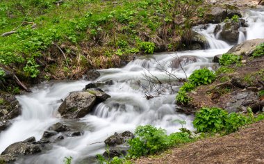 Rusya 'nın Krasnodar Krai kentindeki Kafkas dağlarındaki derenin manzarası