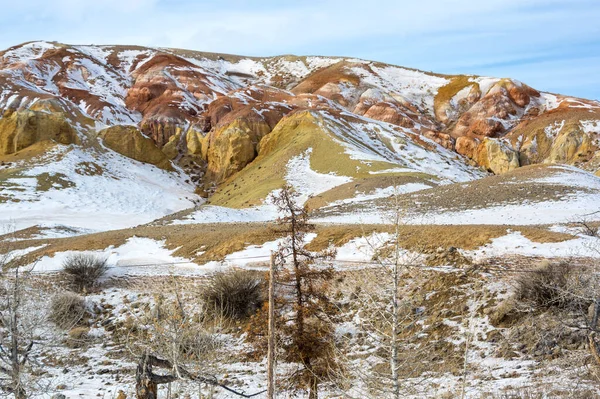 冬のアルタイ山脈の風景 シベリア ロシア — ストック写真