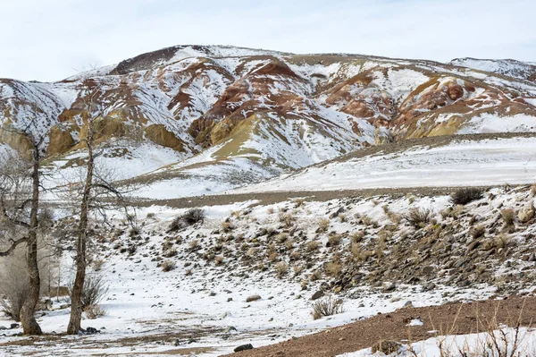 Landschap Van Altay Bergen Winter Siberië Rusland — Stockfoto