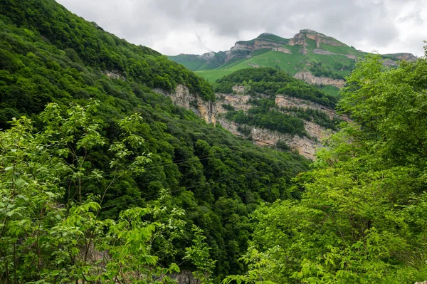 View Cherek Gorge Caucasus Mountains Kabardino Balkaria Russia — Stock Photo, Image