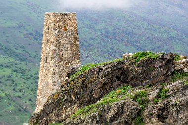 Kuzey Osetya-Alanya 'daki Kurtatin Vadisi, Rusya' nın Kuzey Kafkasya bölgesi.