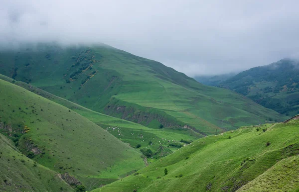 Kuzey Osetya Alanya Daki Kurtatin Vadisi Rusya Nın Kuzey Kafkasya — Stok fotoğraf