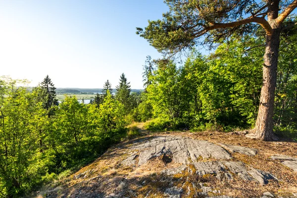 Kuhavuori Góra Sortavala Miasto Republice Karelii Rosja Położony Północnym Krańcu — Zdjęcie stockowe