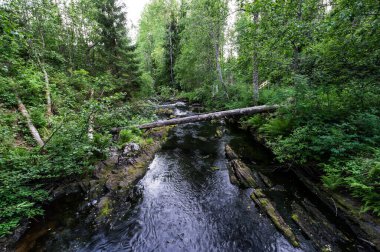 Rusya 'nın Karelia Cumhuriyeti' ndeki Kulismayoki Nehri manzarası