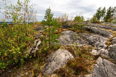 View of the mount Hiidenvuori in Karelia in the Republic of Karelia, Russia clipart