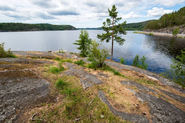 Vista Del Lago República Karelia Rusia — Foto de Stock