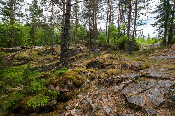 Pohled Horu Hiidenvuori Karelii Karelijské Republice Rusko — Stock fotografie