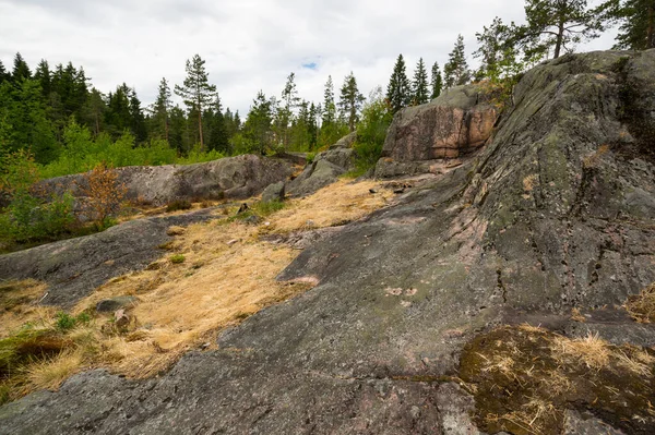Karelia, Rusya 'daki Hiidenvuori Dağı' nın manzarası.