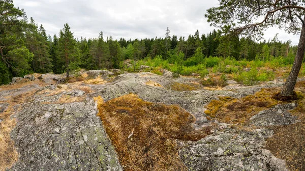 Karelia, Rusya 'daki Hiidenvuori Dağı' nın manzarası.