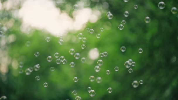 Летят Мыльные Пузыри Открытом Воздухе — стоковое видео
