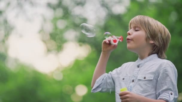 Boy Blowing Soap Bubbles Park — Stock Video