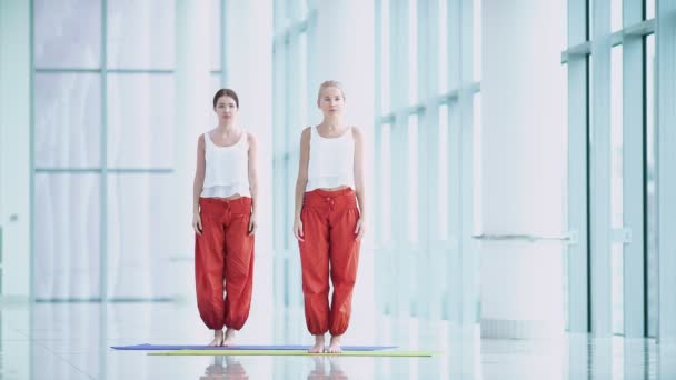 Jonge Meisjes Een Yogastudio Binnenshuis — Stockvideo