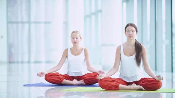 Unga Kvinnor Som Utövar Yoga — Stockvideo