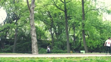 New York central park