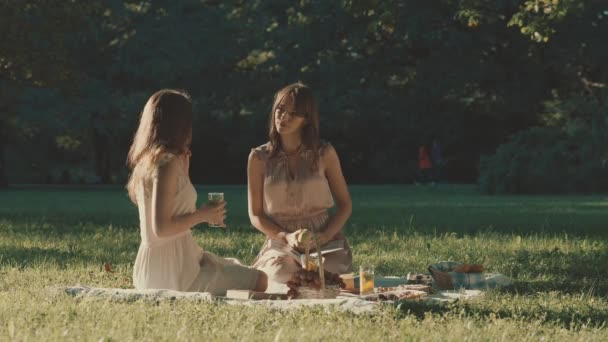 Привабливі Молоді Дівчата Пікніку — стокове відео