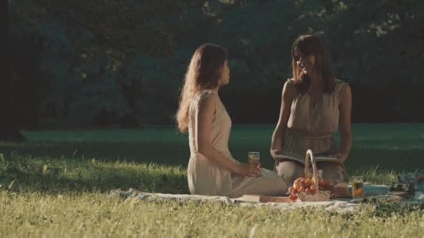 Schöne Frauen Beim Picknick — Stockvideo