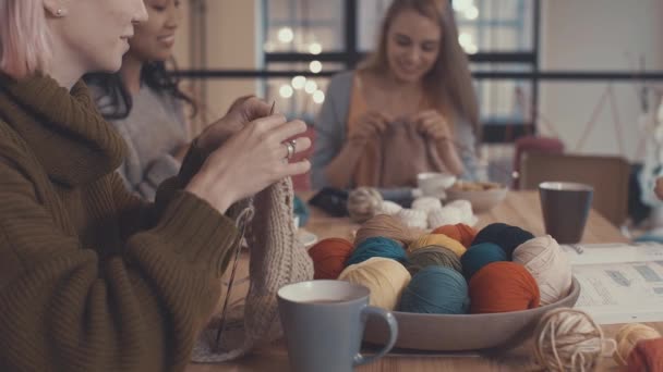 Young Girls Learning Knitting — Stock Video