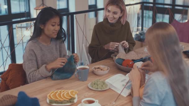 Filles Souriantes Dans Une Leçon Tricot — Video