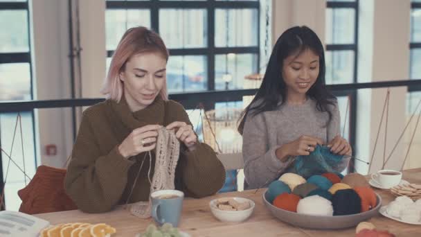 Attractive Girls Knitting Lesson — Stock Video