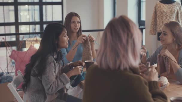 Young Girls Knitting Lesson — Stock Video