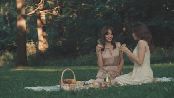 Junge Mädchen Beim Sommerpicknick — Stockvideo