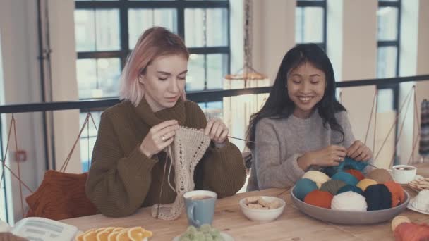 Sonrientes Chicas Jóvenes Estudio — Vídeo de stock