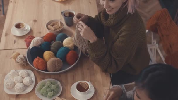Smiling Girl Knitting Indoors — Stock Video