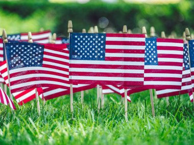 Yeşil çimenlerin üzerinde Amerikan bayrakları yakın çekim