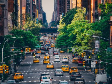 New York'ta trafik