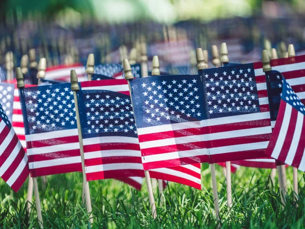 Amerikanska Flaggor Grönt Gräs Park — Stockfoto