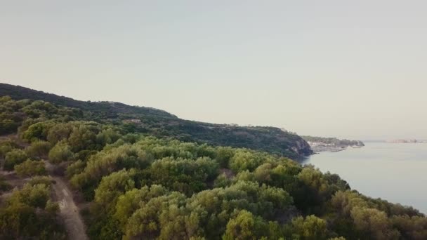 Forêt d'en haut à l'extérieur 